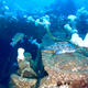 The 1000 horse power triple-expansion steam engine inside the hull of the shipwreck USS Conestoga. Credit: NOAA ONMS/Teledyne SeaBotix